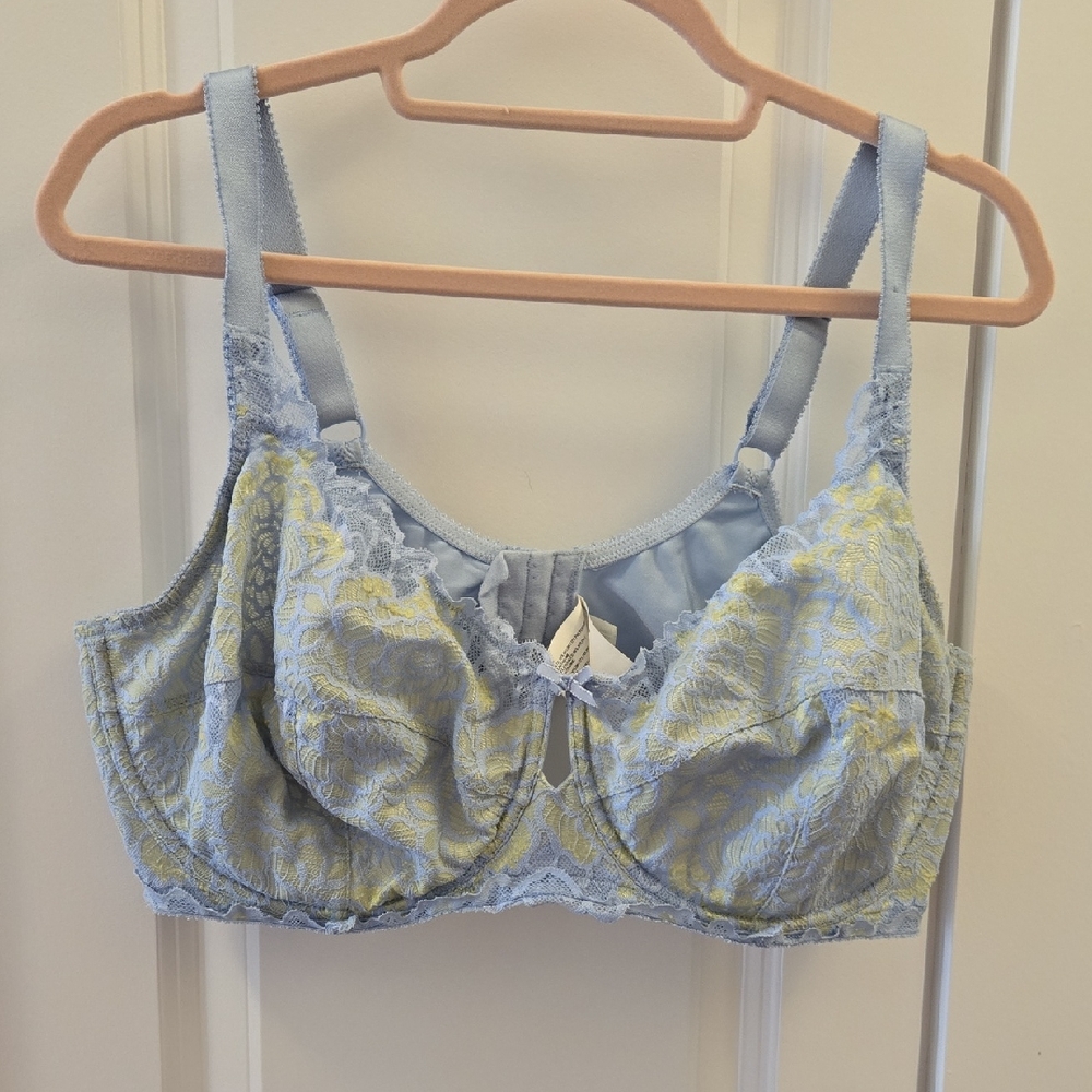Deesse Lingerie Lace Bra - Soft Blue and Yellow